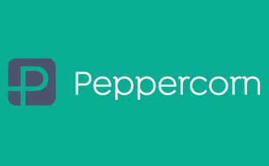 Peppercorn secures £1.8m investment with EHE Capital